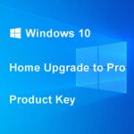 finestre 10 Aggiornamento domestico alla chiave del prodotto Pro
