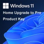 finestre 11 Aggiornamento domestico alla chiave del prodotto Pro